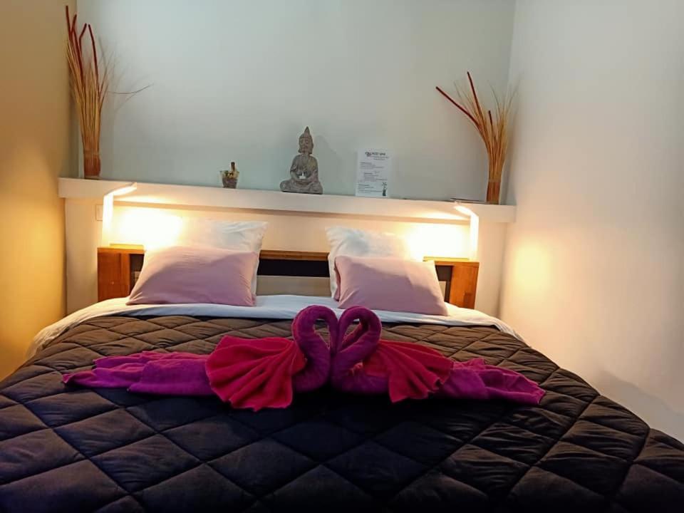 Mas La Farelle Chambre D'Hote,Fitness & Salle De Jeux Gratuite & Spa En Supplement Νιμ Εξωτερικό φωτογραφία